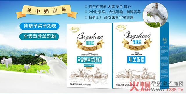 凯瑞羊羊奶粉系列.jpg