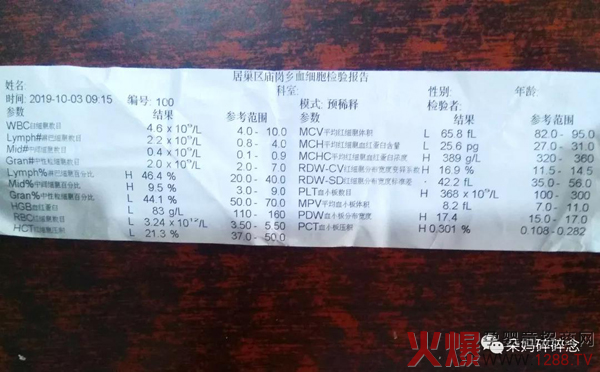 朵爱公益11月报道7.jpg