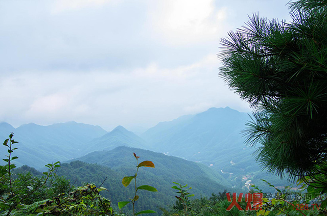 艾裕种植基地.jpg
