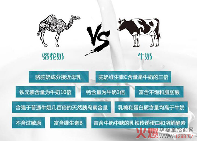拉善丝驼告诉你怎样正确喝驼奶2.jpg