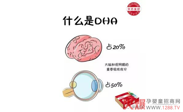 什么是DHA.jpg 什么是DHA.jpg