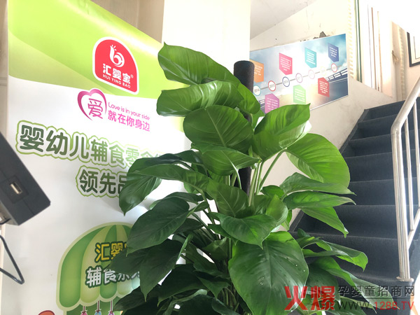 品牌展示.jpg