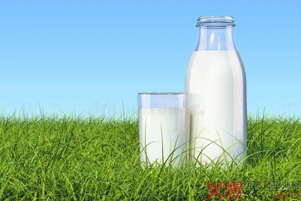 有机奶粉市场何时迎来拐点超车1.jpg
