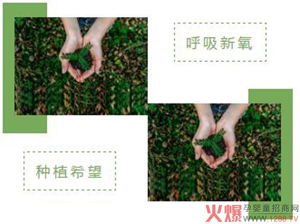 墨擎本草祝您植树节快乐！2.jpg