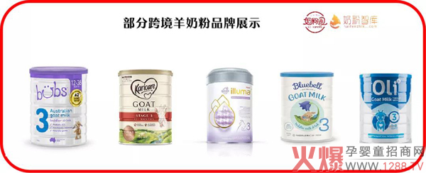 部分跨境羊奶粉品牌.jpg