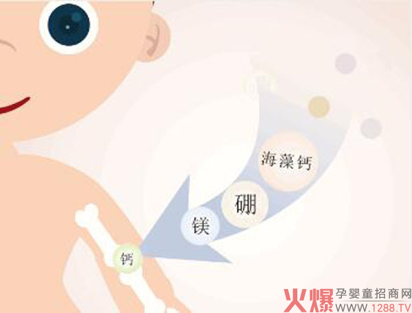 宝宝营养吸收.jpg