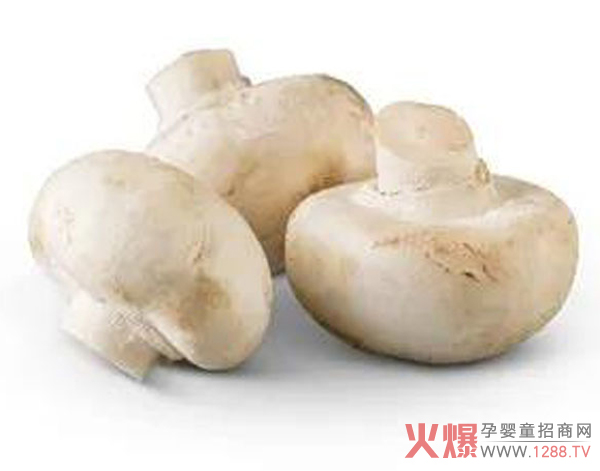 白蘑菇.jpg