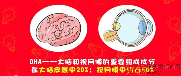 开学季，你家“神兽”的DHA备好了吗？“华药童舒彤睿康”不可错过！4.jpg