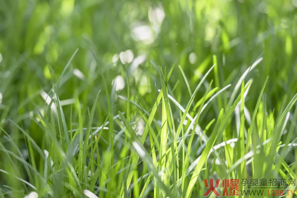 多个品牌“卡位”细分，草饲奶粉能否站稳市场2.jpg