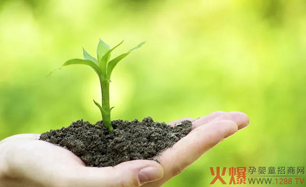 多个品牌“卡位”细分，草饲奶粉能否站稳市场4.jpg