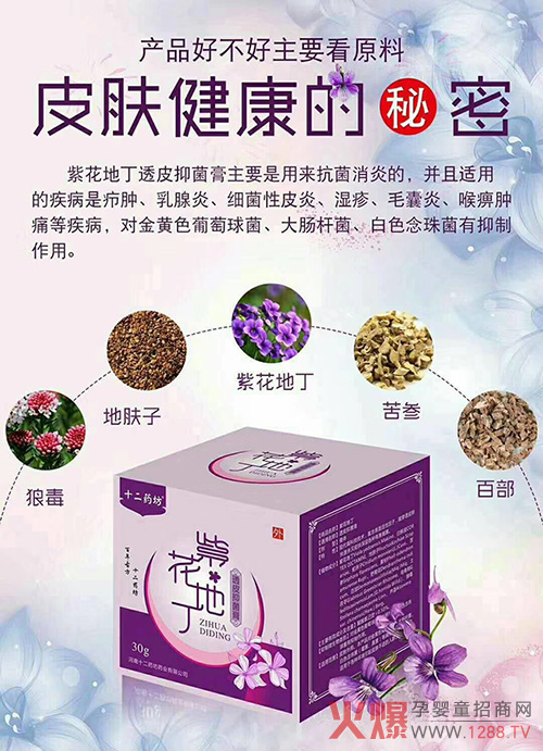 十二药坊紫花地丁.jpg