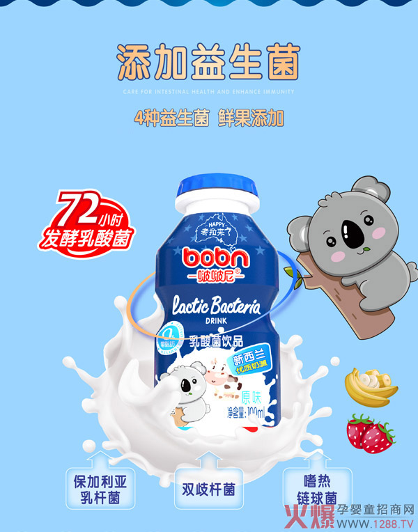 啵啵尼乳酸菌饮品�.jpg