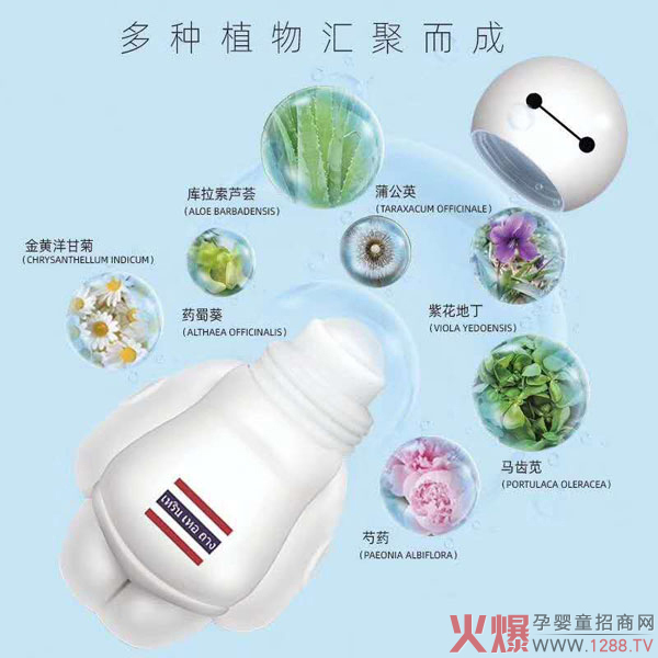 泰国人和堂青草液2.jpg