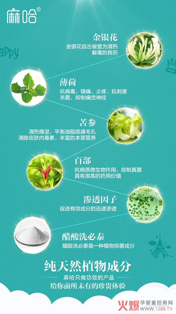 麻哈婴乐霜的明星成分.webp.jpg