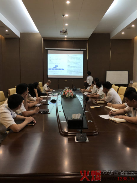 亨盛维嘉流程梳理项目正式启动.jpg