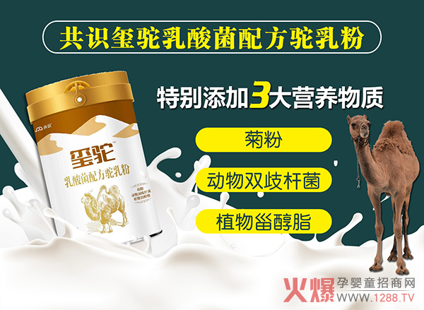 玺驼乳酸菌配方驼乳粉.jpg