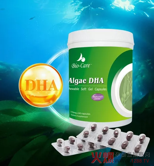倍尔滋DHA藻油咀嚼软胶囊.jpg