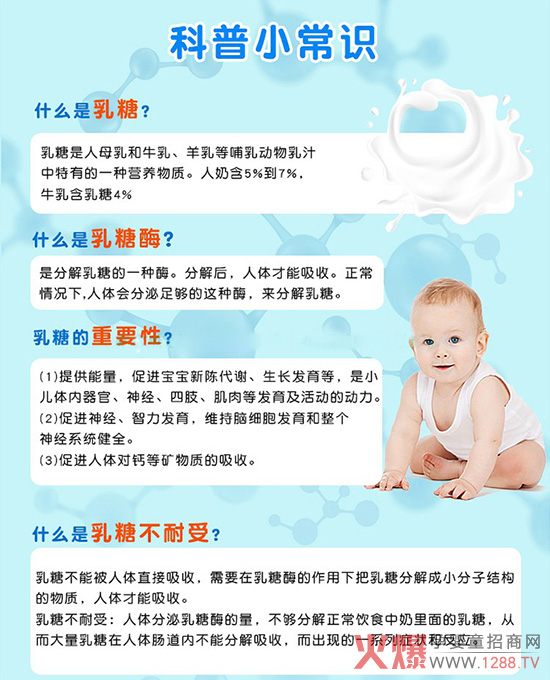 乳糖酶小常识.jpg