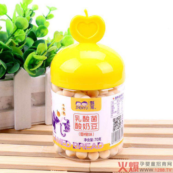 甄育乳酸菌酸奶豆香橙�.jpg