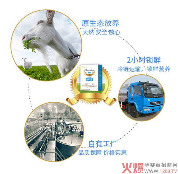 爱能特凯瑞羊纯羊奶粉2.jpg