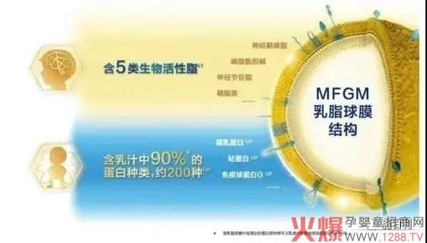 施百利带你一起了解乳铁蛋白的秘密6.jpg