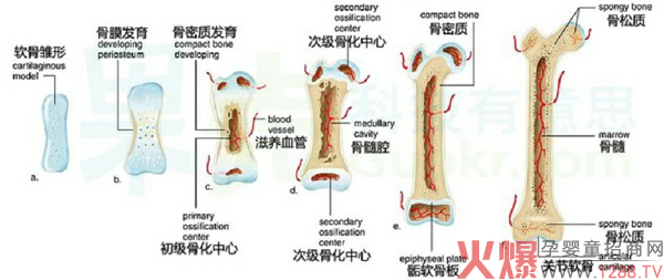 LOUVER卢浮宫儿童成长奶�?.jpg