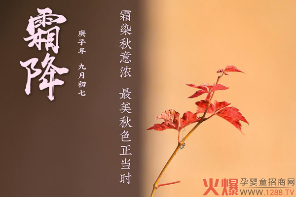 霜降时节燥气当令 为你推荐吉米熊药食同源营养米�?.jpg