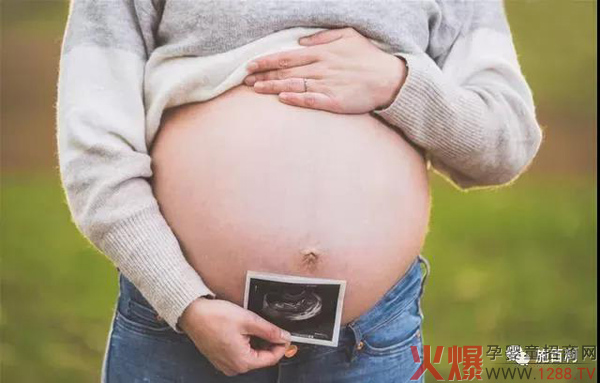 施百利：孕妇多吃鱼胎儿就会更聪明吗？1.jpg