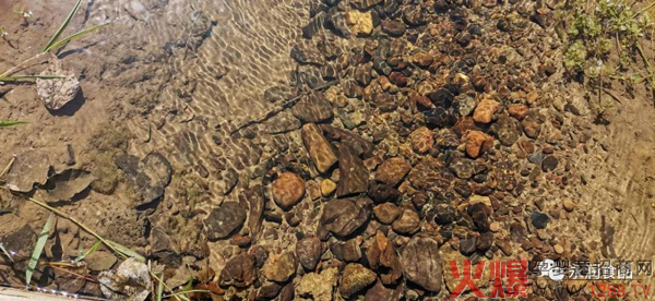 永润食品有机大米丰收�?.jpg