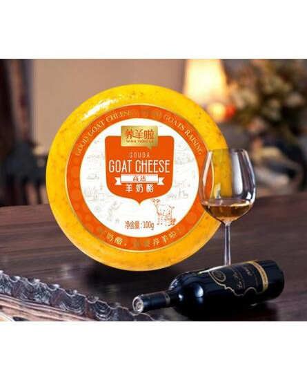 养羊啦高达羊奶酪.jpg