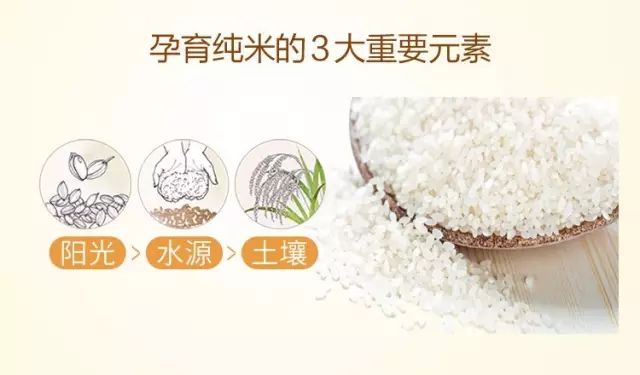 纯米3大元素.jpg
