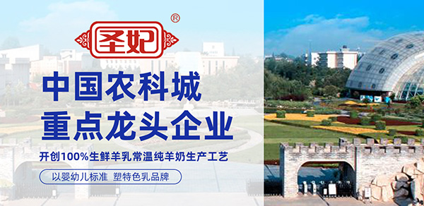 圣妃.jpg
