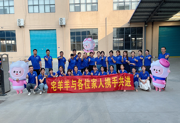 宅羊羊团队.jpg