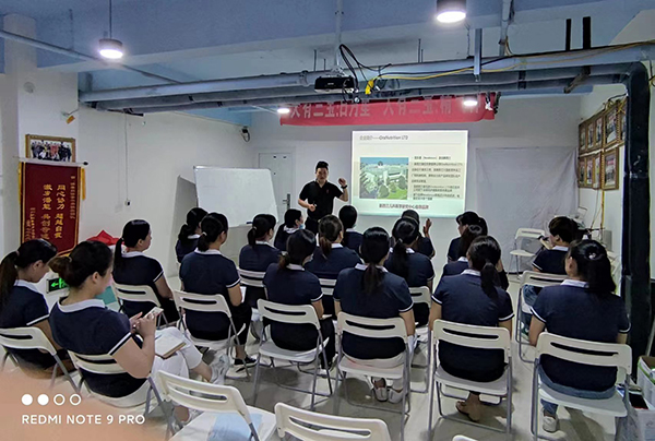 “纽乐曼”走进安阳滑县 产品知识培训活动火热开启5.jpg
