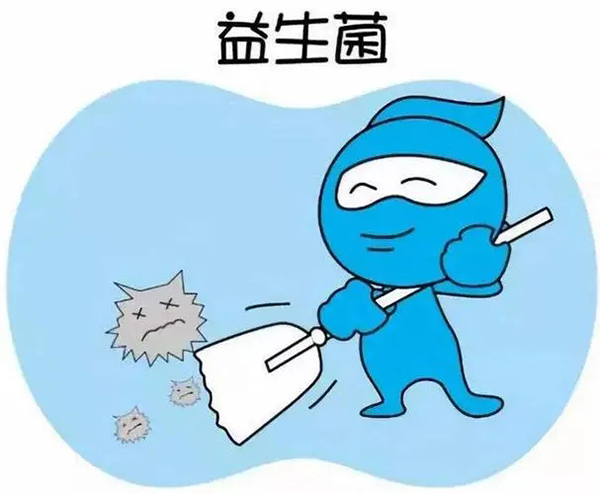 益生菌.webp.jpg