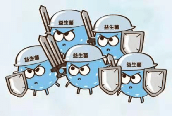 益生菌作用.png