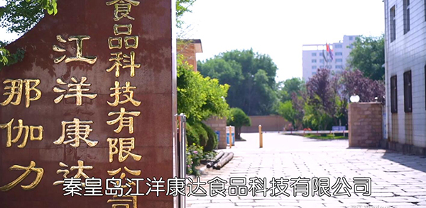 秦皇岛江洋康达食品公司.jpg