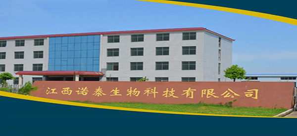 诺泰.jpg