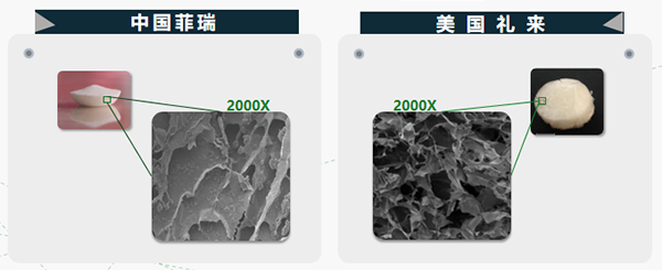 菲瑞生物冻干闪释片9.png