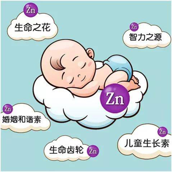 锌的重要性.jpeg
