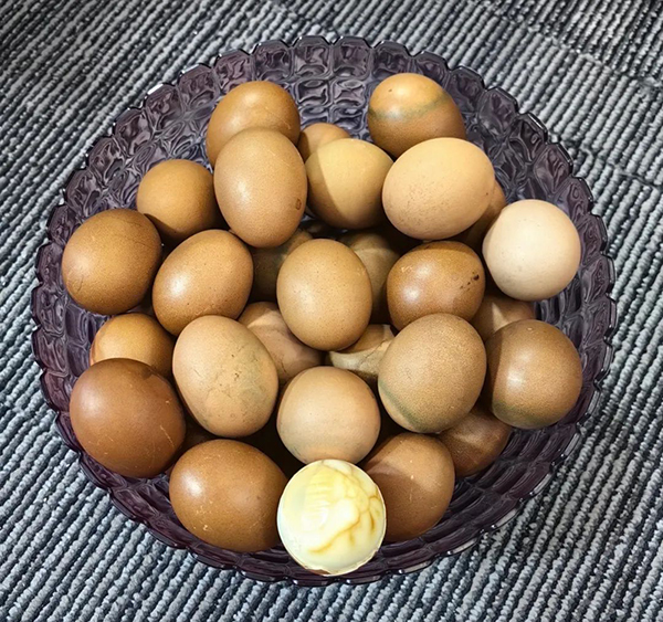 施贝安新模式分享会（郑州站）圆满落幕5.jpg