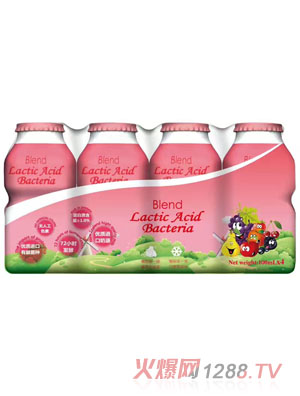恩姆贝贝乳酸菌-混合水果味