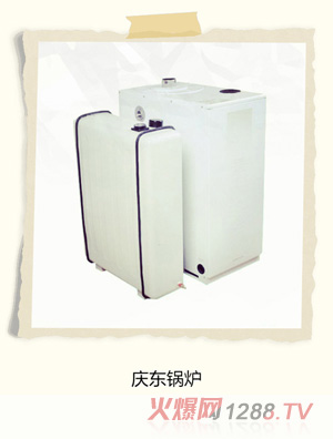 童伴麗婴庆东锅炉