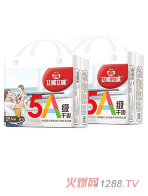 艾咪艾咪5A纸尿裤 L码20片
