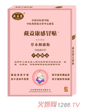 藏益康感冒贴（风热感冒型）