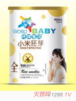 环球宝贝小米胚芽核桃莲子营养配方米粉罐装