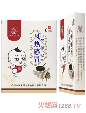 汉术经方风热感冒保健贴