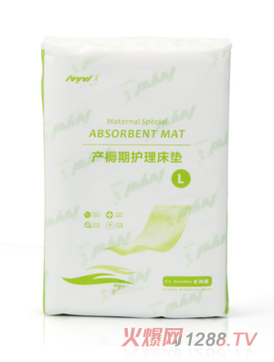 嫒唯一DR016护理床垫6片装