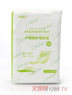 嫒唯一DR017护理床垫10片装