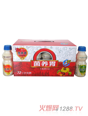 银鹭 原菌养胃 箱装 红色